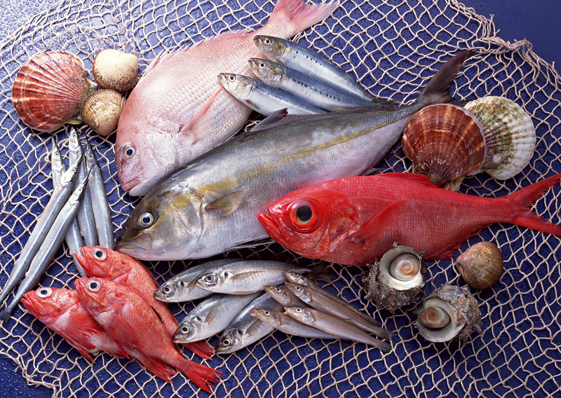 Sau khi nâng mũi xong thì có thể ăn được cá đồng hay cá biển không?